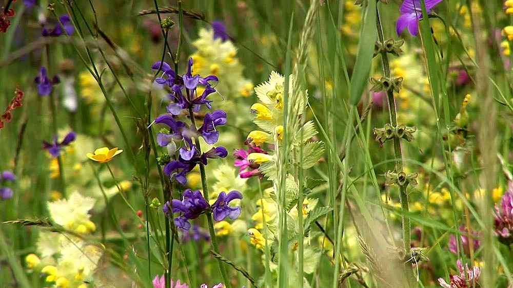 Geld eröffnet Möglichkeiten zum Reisen